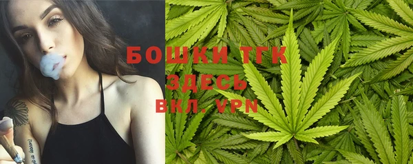твердый Лиски