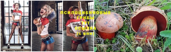 МДПВ Лихославль
