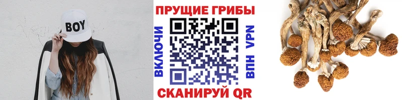 Галлюциногенные грибы MAGIC MUSHROOMS  купить   Арзамас 