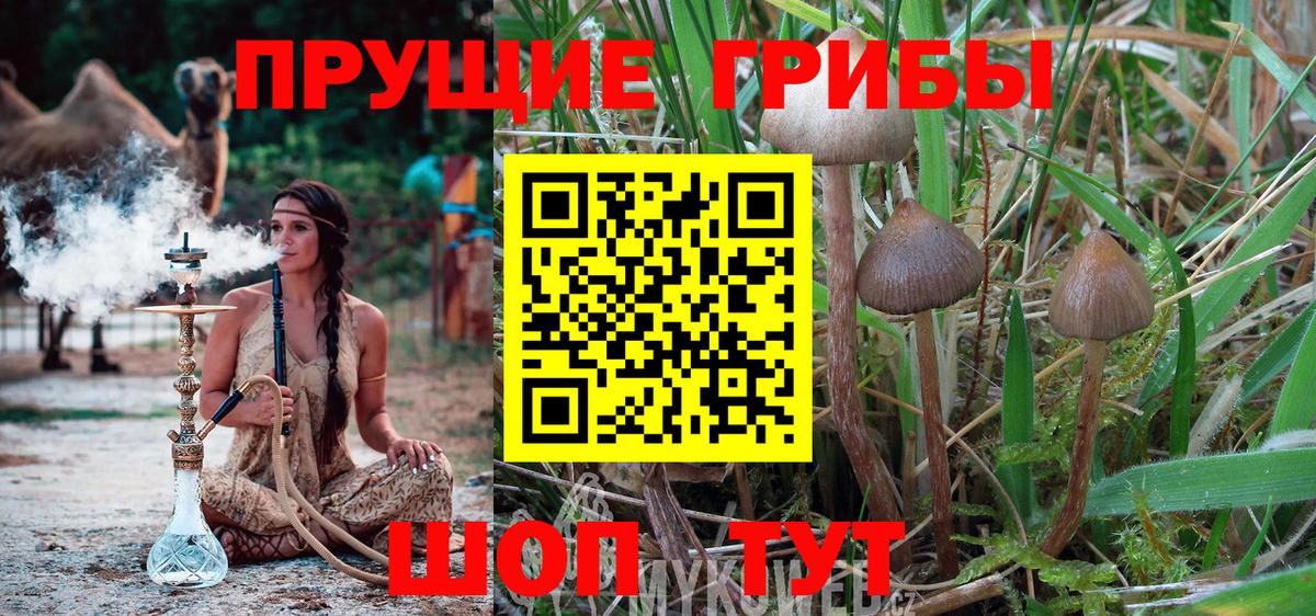 Галлюциногенные грибы Magic Shrooms Арзамас